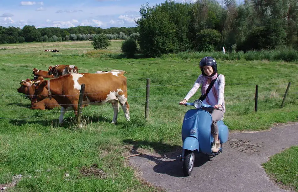 countryside driving on a V50 classic vespa